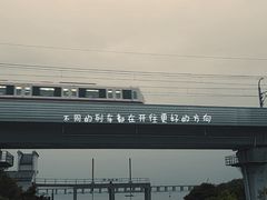 -宝安西湾红树林湿地公园