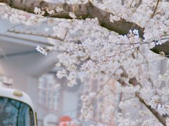 -南浦大桥长途旅游客运站
