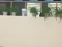 -首都医科大学附属北京天坛医院
