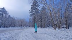 -大秃顶子山(雪谷店)