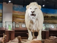 -陕西自然博物馆