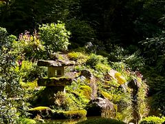 -三千院