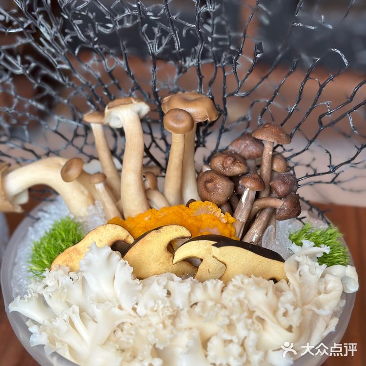 盐城天花板海鲜打边炉火锅南城宛风