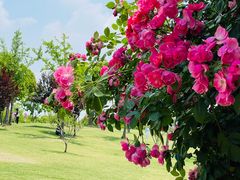 -广富林郊野公园