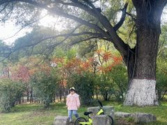 -森林公园(尖草坪区)