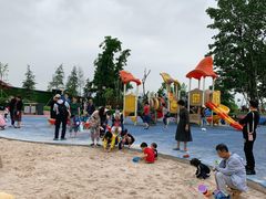 -铁山坪森林公园