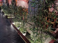 -三道苗苗鱼·美蛙黄辣丁(八里店)