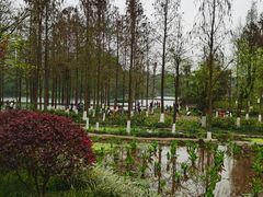-重庆彩云湖湿地公园
