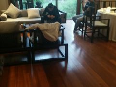 android_upload_pic-黔蘑菇四季餐厅(观山湖店)