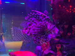 -沈阳海洋探索中心