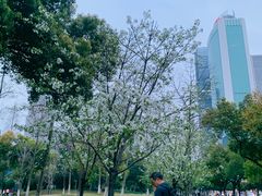 -西北湖绿化广场