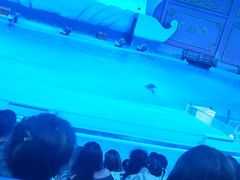 -横店影视城梦幻谷园区