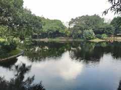 -晓港公园