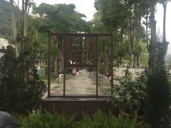 -瑞穗牧场