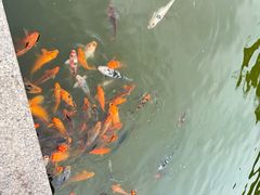 -檀园