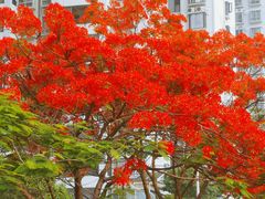 -万达广场(南宁青秀店)