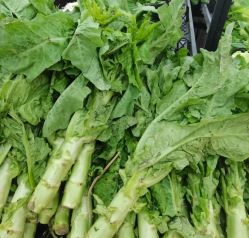 -姜美堂·蒸姜除湿の纤体美颜馆