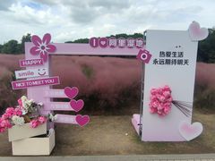 -同里国家湿地公园