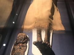 -浙江西湖美术馆