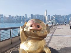 -星光大道