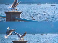 -海埂大坝
