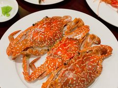 -广州希尔顿逸林酒店-OPEN開·全日制餐厅·海鲜·小火锅·自助餐(东风路店)