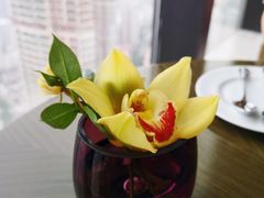 -无锡苏宁JW万豪酒店-大堂酒廊