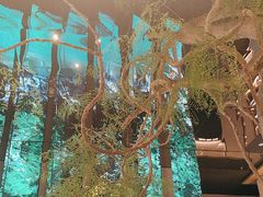 -桂满陇·海市蜃楼·黑金(国金店)