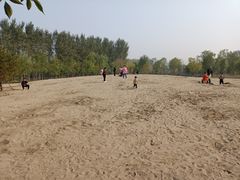 -东郊湿地公园