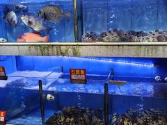 -东江海鲜大排档·潮汕菜·砂锅粥
