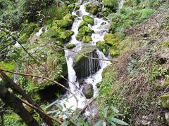 -鹿院坪生态旅游景区