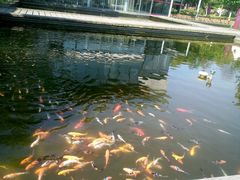 android_upload_pic-宝界普菲特湖畔酒店