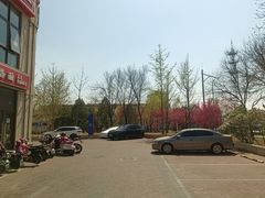 -大藏村拉面(保利首开·熙悦春天店)