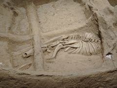 -洛阳周王城天子驾六博物馆