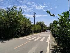 -三圣花乡旅游区