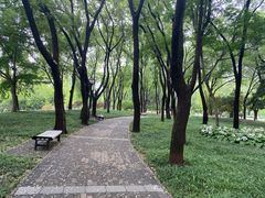 -玲珑塔公园