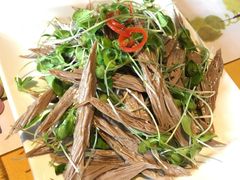 -素虎小呆鸟(西二旗店)