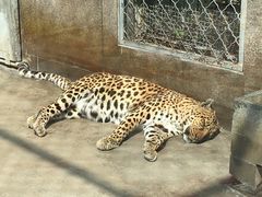 -西安秦岭野生动物园