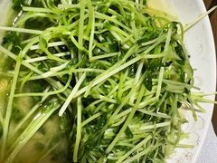 -沈记菜馆(酒仙桥路店)
