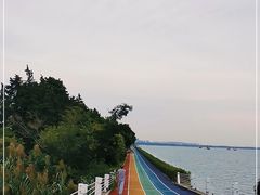 -贡湖湾湿地公园