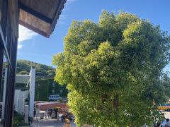 -普陀山慧济禅寺