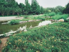 -大望京公园