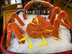 -牛New寿喜烧(青浦店)