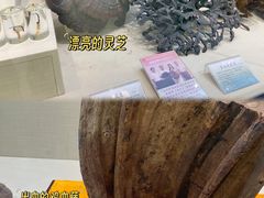 -广东中医药博物馆