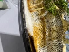-阿尔法海鲜排档(爱琴海店)