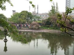 -嘉定紫藤园