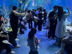 -海合安武汉极地海洋公园