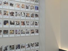 -御宝贝24h宠物医院·转诊中心·CT核磁血透中心(厦门总院)