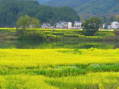 -新安江山水画廊风景区