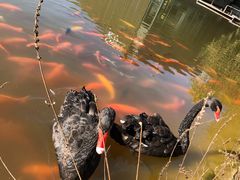 -春晖园度假酒店温泉